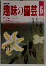 NHK趣味の園芸　1987年6月号