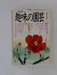 趣味の園芸　1月号　