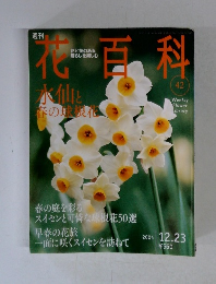 週刊　花百科　水仙と春の球根化　2004.12