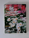 花白科　2004 4.29　10
