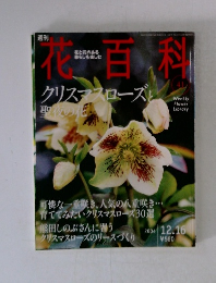 週刊花百科　41　クリスマスローズと聖夜の花
