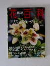 週刊花百科　41　クリスマスローズと聖夜の花