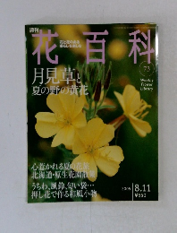 週刊花百科　2005/8 月見草と夏の野の黄花