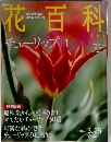 花百科　5　チューリップ 1