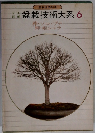 直盆栽技術大系6