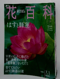週刊花百科　18　2004年7月号