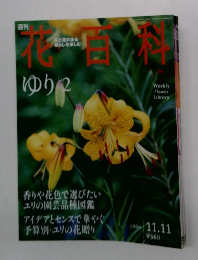 花百科　2004年11月11日号　
