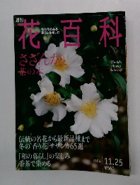 花百科 38号