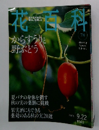 週刊花百科　78　2005年9月