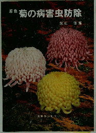 菊の病害虫防除