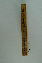 名のみな飛墟をする