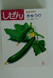 しぜん　6　キンダーブック 3 きゅうり