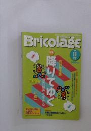 Bricolage 2000年11月