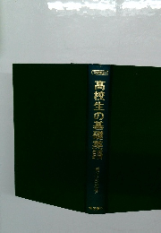 高校生の基礎英語