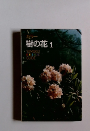 カラー 樹の花 1 