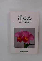 洋らん-TheOrchids1-