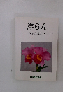 洋らん-TheOrchids1-