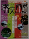 露天風呂 2001