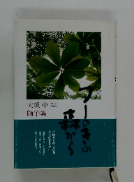 フキノトウの森から