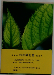 写真集　わか葉礼賛