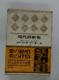 現代詩歌集 塚本晶子 光太郎