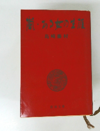 嵐・ある女の生涯