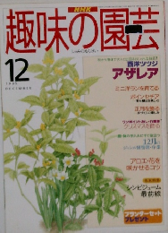 趣味の園芸　1995年12月号