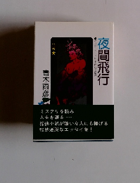 ミステリについての独断と偏見　夜間飛行