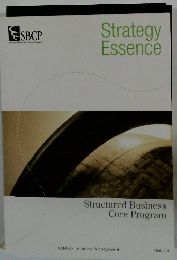 Structured Business Core Program Strategy Essence