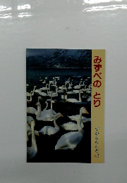 みずべのとり ずかんらんど 42