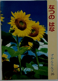ずかんらんど 25 なつのはな