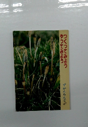 ずかんらんど 47 つくってみようやってみよう 