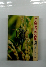 こんちゅうのなかま　向村ずかんらんど19