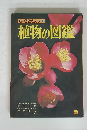 新学習図鑑シリーズ 1　植物の図鑑