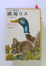シートン動物記　旗尾リス