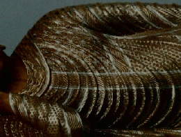 江里佐代子 江里康慧