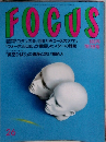 FOCUS　7月7日　26号