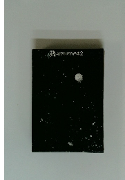 埴谷雄高作品集　2