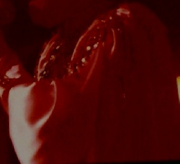 Extraits des chanson