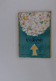 Guleesh A Celtic Fairy Tale