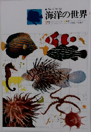 海洋の世界　