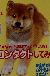 いぬのきもち 2006年１月号