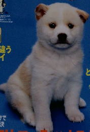 いぬのきもち　2005年7月号