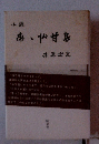 小説あ、仙甘島