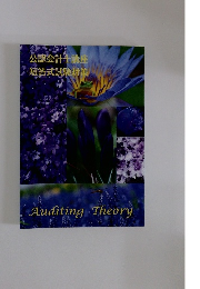 Auditing　Theory