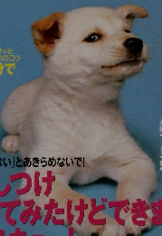 いぬのきもち　2006年5月号