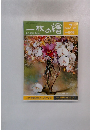 一枚の繪　165　1985年7月号