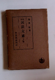 新訂　民法大意　上　
