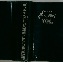 Essential JAPANESE ENGLISH DICTIONARY