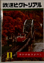 鉄道ピクトリアル　1981年11月号